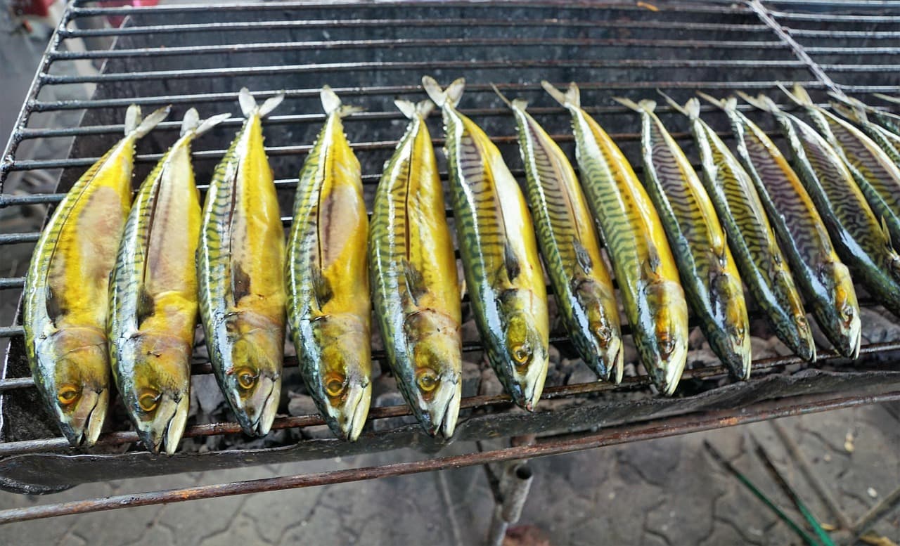 Caballa a la plancha con tomate