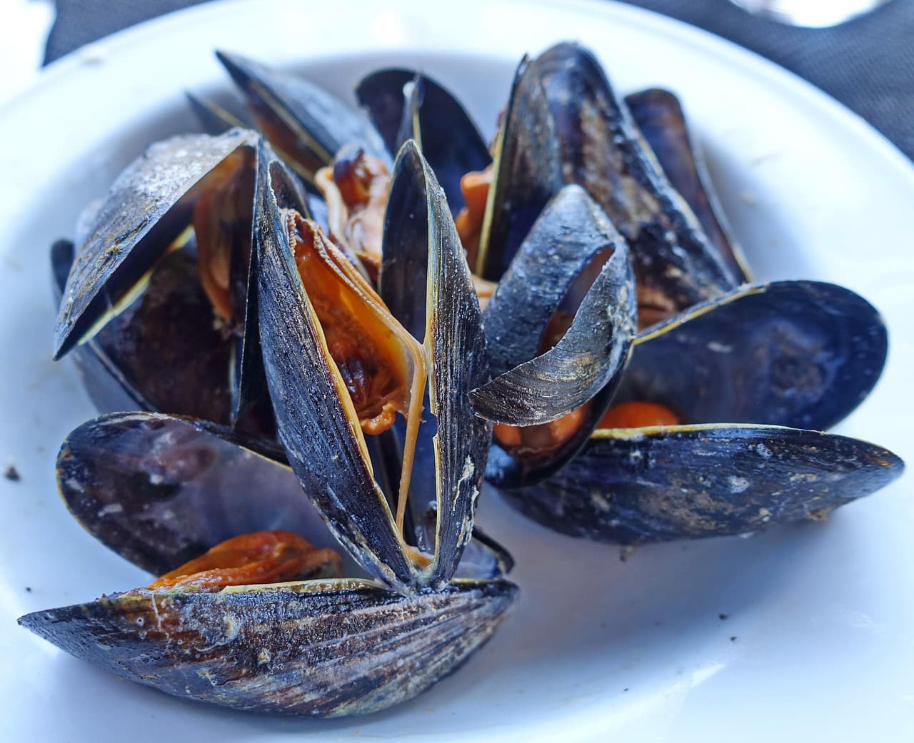 Mejillones al vapor